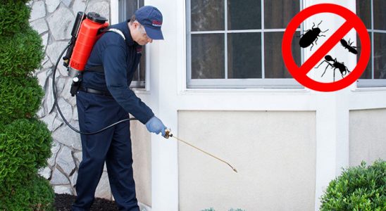 Bahçelievler Böcek İlaçlama böcek ilaçlama ve haşere kontrolü — ilaclama-tr.com